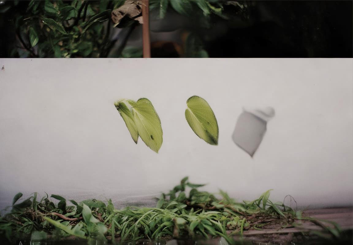 追梦格林与科尔争执后回应：勇士队更衣室团结与球队文化不受影响